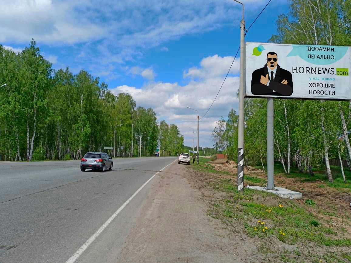 Фотография рекламного носителя, тип: Билборд 3x6, адрес: Шершни-Северный а/д, 8 800м, Челябинск, Челябинская область, Россия. Сторона A №1081596