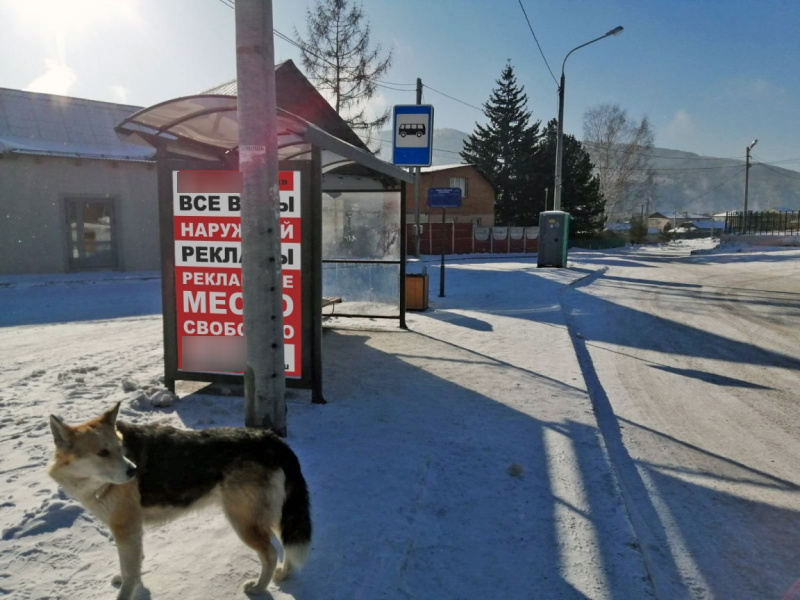 Фотография рекламного носителя, тип: Остановка 1.8x1.2, адрес: Лесная ул., д.279, Красноярск, Красноярский край, Россия. Сторона Б №1097983
