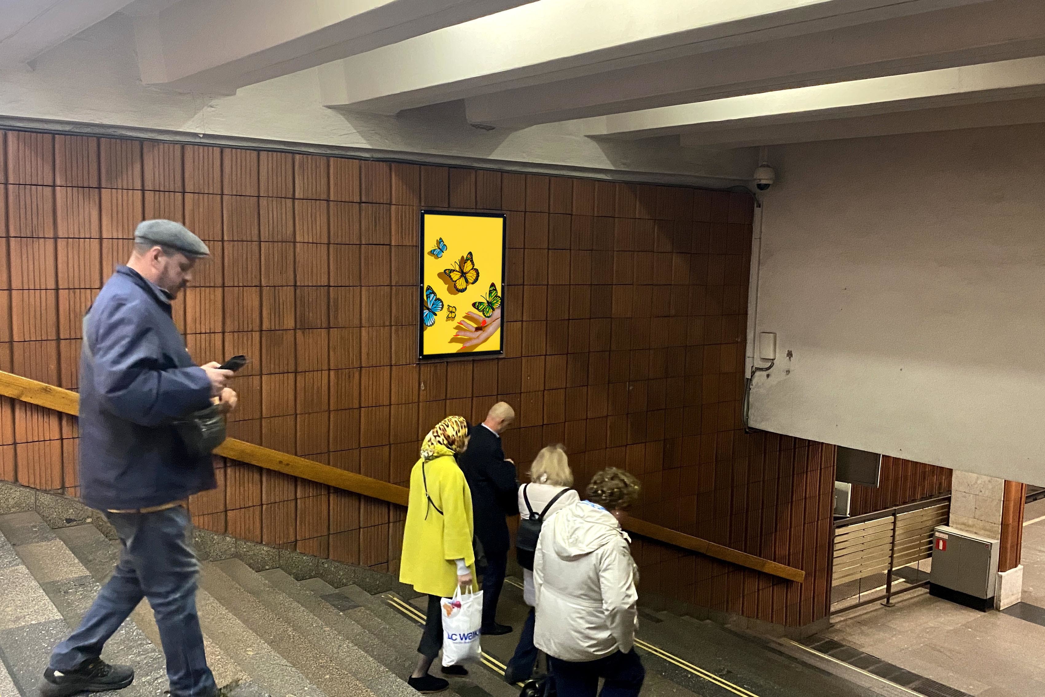 Фотография рекламного носителя, тип: Кристалайт, адрес: Станция метро «Теплый Стан», линия Калужско-Рижская, Москва, Россия. Сторона/вариант №1001809