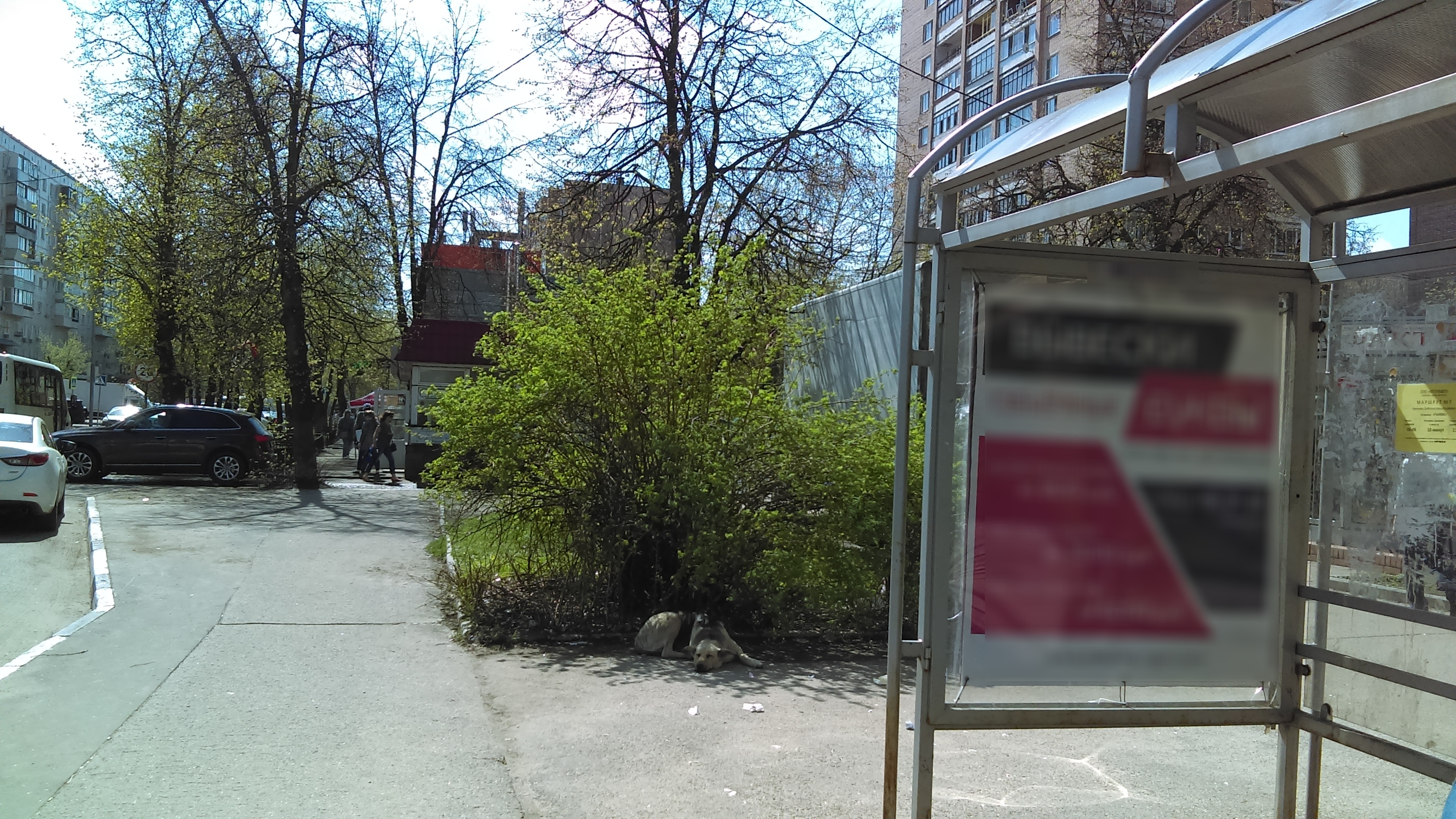 Фотография рекламного носителя, тип: Остановка 1.8x1.2, адрес: Свердлова ул., д.23, Балашиха, Московская область, Россия. Сторона A №696444