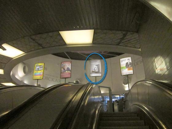 Фотография рекламного носителя, тип: Лайтбокс, адрес: Станция метро «Горьковская», линия Московско-Петроградская, Санкт-Петербург, Россия. Сторона/вариант А4 №1062738