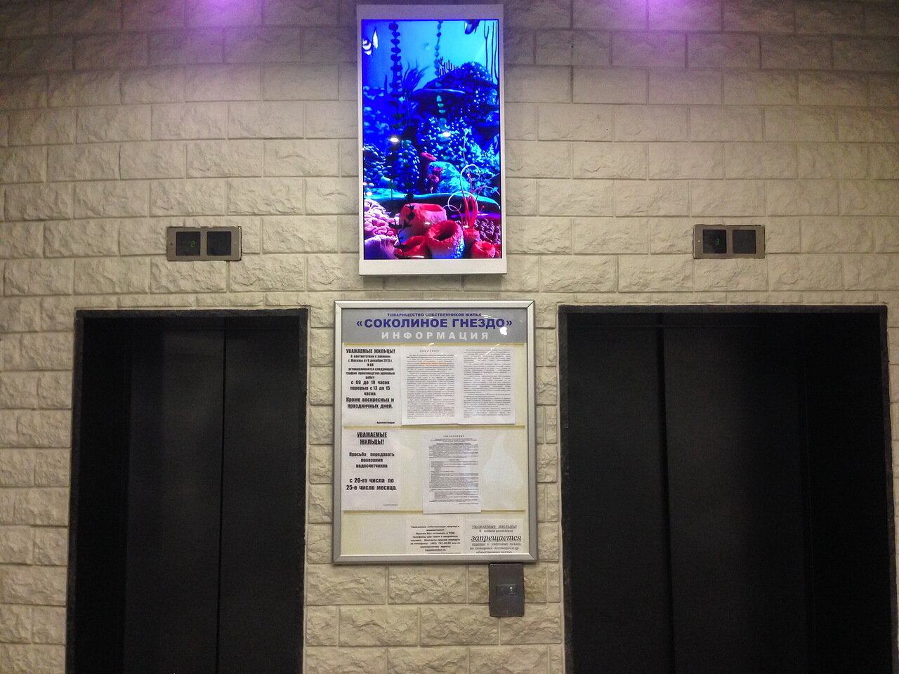 Фотография рекламного носителя, тип: Видеоэкран, адрес: Жилой комплекс «Дом на Давыдковской», Давыдковская ул., д.16, Москва, Россия. Сторона/вариант 4 недели №1095455