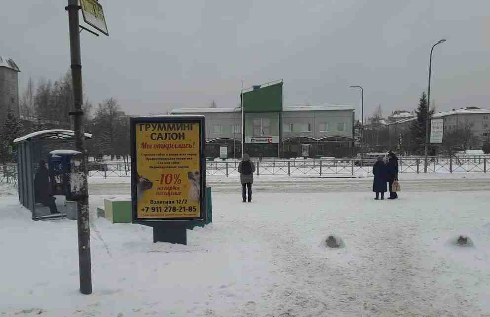 Фотография рекламного носителя, тип: Ситиформат 1.8x1.2, адрес: Всеволожск г., Московская ул., д.7, Ленинградская область, Россия. Сторона Б №1047073