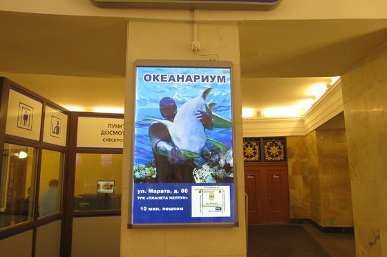 Фотография рекламного носителя, тип: Лайтбокс, адрес: Станция метро «Пушкинская», линия Кировско-Выборгская, Санкт-Петербург, Россия. Сторона/вариант Б №1062479