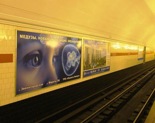 Фотография рекламного носителя, тип: Другой индор-формат, адрес: Станция метро «Площадь Ленина», линия Кировско-Выборгская, Санкт-Петербург, Россия. Сторона/вариант А №1062912