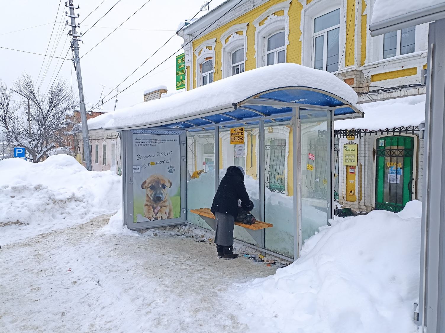 Фотография рекламного носителя, тип: Остановка 1.8x1.2, адрес: Радищева ул., д.36 Х Кутякова ул., поз.2, Саратов, Саратовская область, Россия. Сторона A №992372