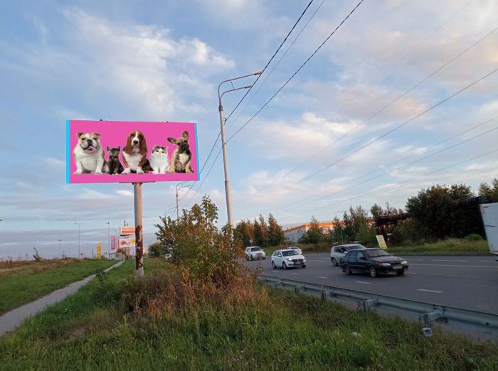 Фотография рекламного носителя, тип: Билборд 3x6, адрес: Восточная Окружная а/д., д.10, 150м от ТЦ "Зельгрос", Рязань, Рязанская область, Россия. Сторона Б №1053458