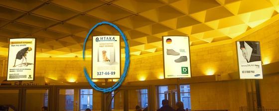 Фотография рекламного носителя, тип: Лайтбокс, адрес: Станция метро «Приморская», линия Невско-Василеостровская, Санкт-Петербург, Россия. Сторона/вариант Б8 №1062825