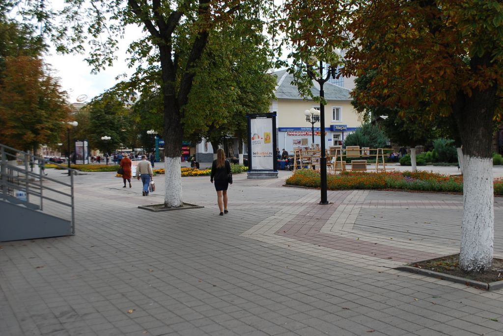 Фотография рекламного носителя, тип: Пиллар 3x1.4, адрес: 50-летия Белгородской обл. ул., д.17, Белгород, Белгородская область, Россия. Сторона А №344104