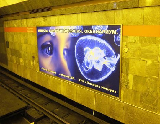 Фотография рекламного носителя, тип: Другой индор-формат, адрес: Станция метро «Ладожская», линия Правобережная, Санкт-Петербург, Россия. Сторона/вариант А №1061661