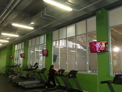 Фотография рекламного носителя, тип: Видеоэкран, адрес: Фитнес-центр «ALEX fitness Кудрово», Кудрово г., Ленинградская ул., д.5, Ленинградская область, Россия. Сторона/вариант 3 №981232