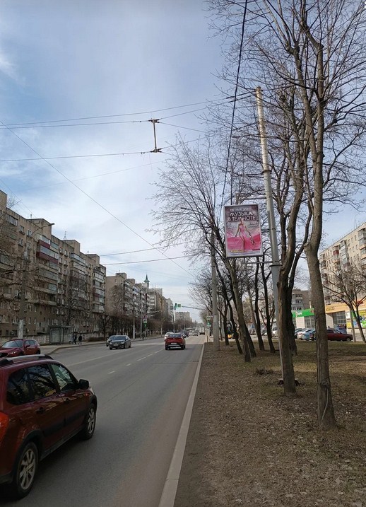 Фотография рекламного носителя, тип: Панель-кронштейн, адрес: Космонавтов ул., поз.2, Липецк, Липецкая область, Россия. Сторона 20 А №1051832