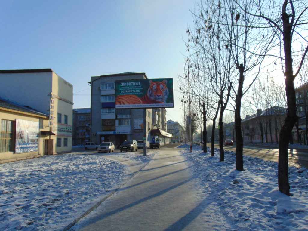 Фотография рекламного носителя, тип: Билборд 3x6, адрес: Шолом-Алейхема ул., д.34, Биробиджан, Еврейская автономная область, Россия. Сторона В №1055529
