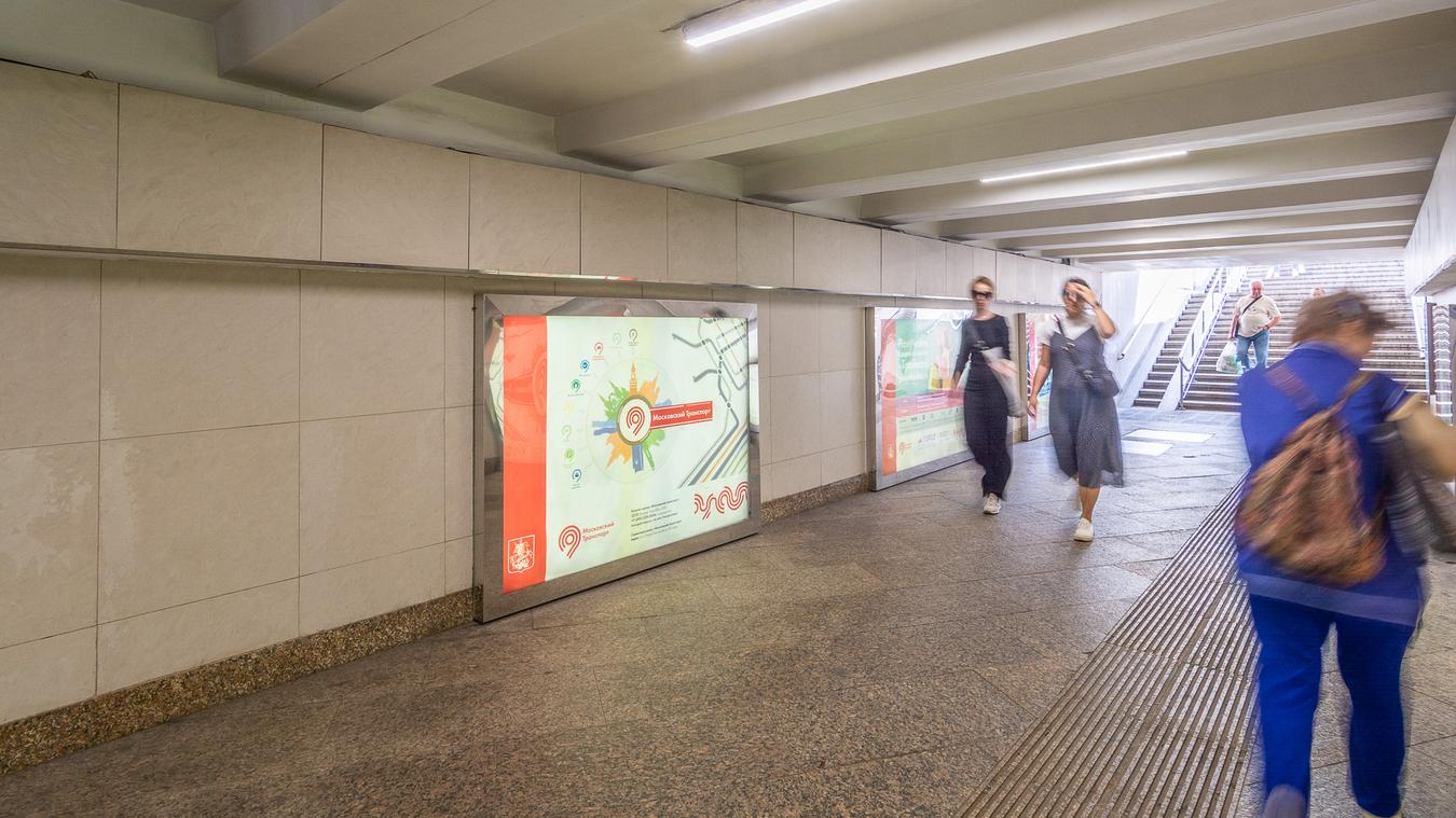 Фотография рекламного носителя, тип: Лайтбокс, адрес: Станция метро «Сходненская», линия Таганско-Краснопресненская, Москва, Россия. Сторона/вариант 21 №821948