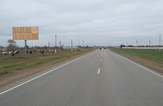 Фотография рекламного носителя, тип: Билборд 3x6, адрес: Усть-Лабинск-Лабинск-Упорная а/д, 44 675м, Курганинск, Краснодарский край, Россия. Сторона B №999498
