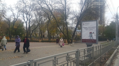 Фотография рекламного носителя, тип: Ситиформат 1.8x1.2, адрес: Ворошилова ул., д.8б, Воронеж, Воронежская область, Россия. Сторона Б №772109