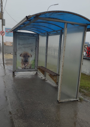 Фотография рекламного носителя, тип: Остановка 1.8x1.2, адрес: Ново-Астраханское ш., Алтынная гора, Саратов, Саратовская область, Россия. Сторона А №747426