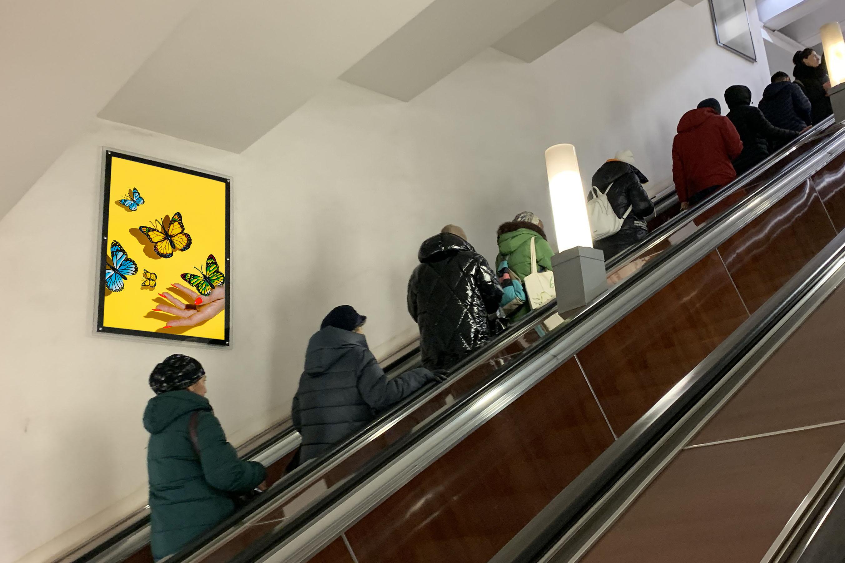 Фотография рекламного носителя, тип: Кристалайт, адрес: Станция метро «Текстильщики», линия Большая кольцевая, Москва, Россия. Сторона/вариант №1006280