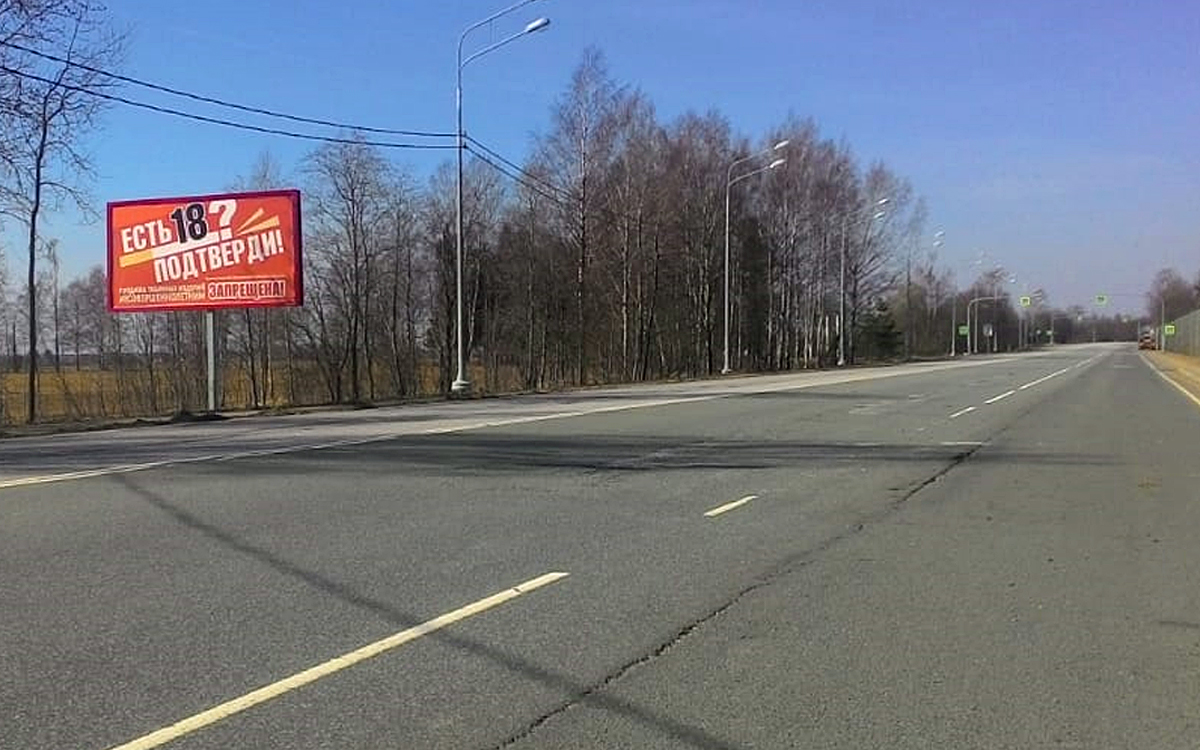 Фотография рекламного носителя, тип: Билборд 3x6, адрес: Садоводства, Санкт-Петербург-Парголово-Огоньки а/д., 38 300м, Ленинградская область, Россия. Сторона B №798656