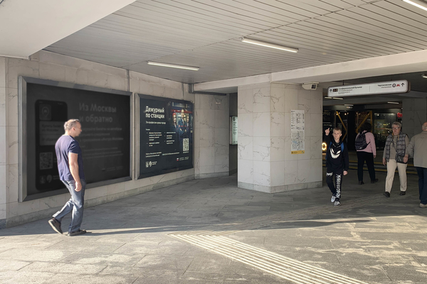 Фотография рекламного носителя, тип: Лайтбокс, адрес: Станция метро «Чертановская», линия Серпуховско-Тимирязевская, Москва, Россия. Сторона/вариант 4 №1060989