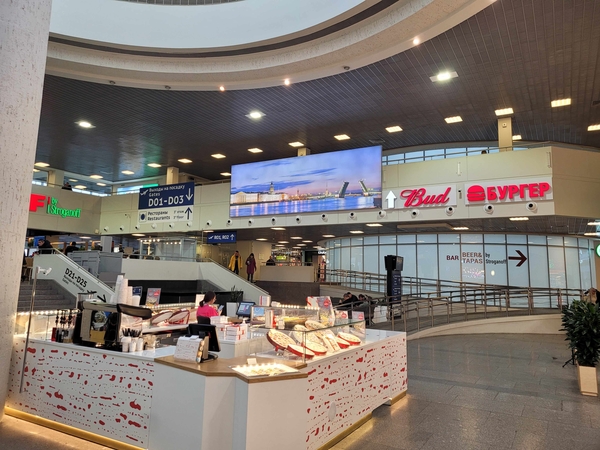 Фотография рекламного носителя, тип: Лайтбокс, адрес: Аэропорт «Пулково», Пулковское ш., д.41, Санкт-Петербург, Россия. Сторона/вариант №1056191