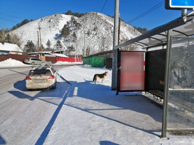 Фотография рекламного носителя, тип: Остановка 1.8x1.2, адрес: Лесная ул., д.279, Красноярск, Красноярский край, Россия. Сторона А №1097982