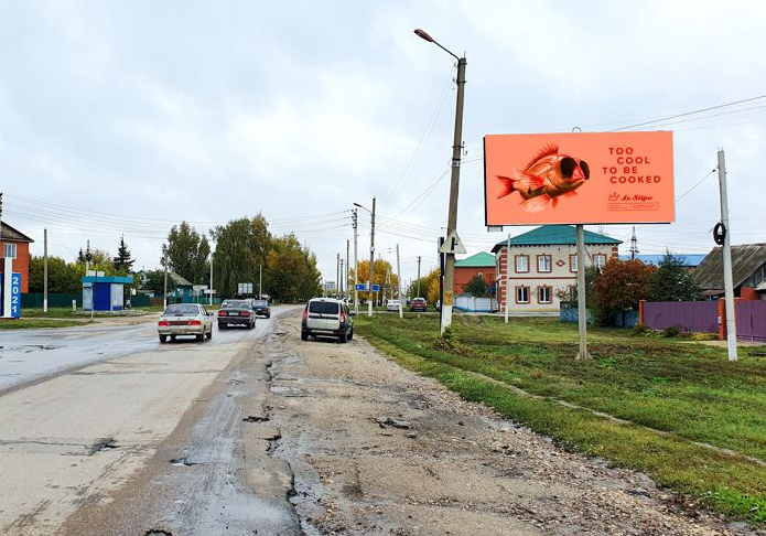 Фотография рекламного носителя, тип: Билборд 3x6, адрес: Сасово г., Пушкина ул. Х ул. Горького ул., Рязанская область, Россия. Сторона А №1075568