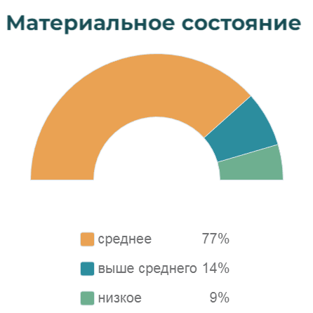 Аудитория материальное положение
