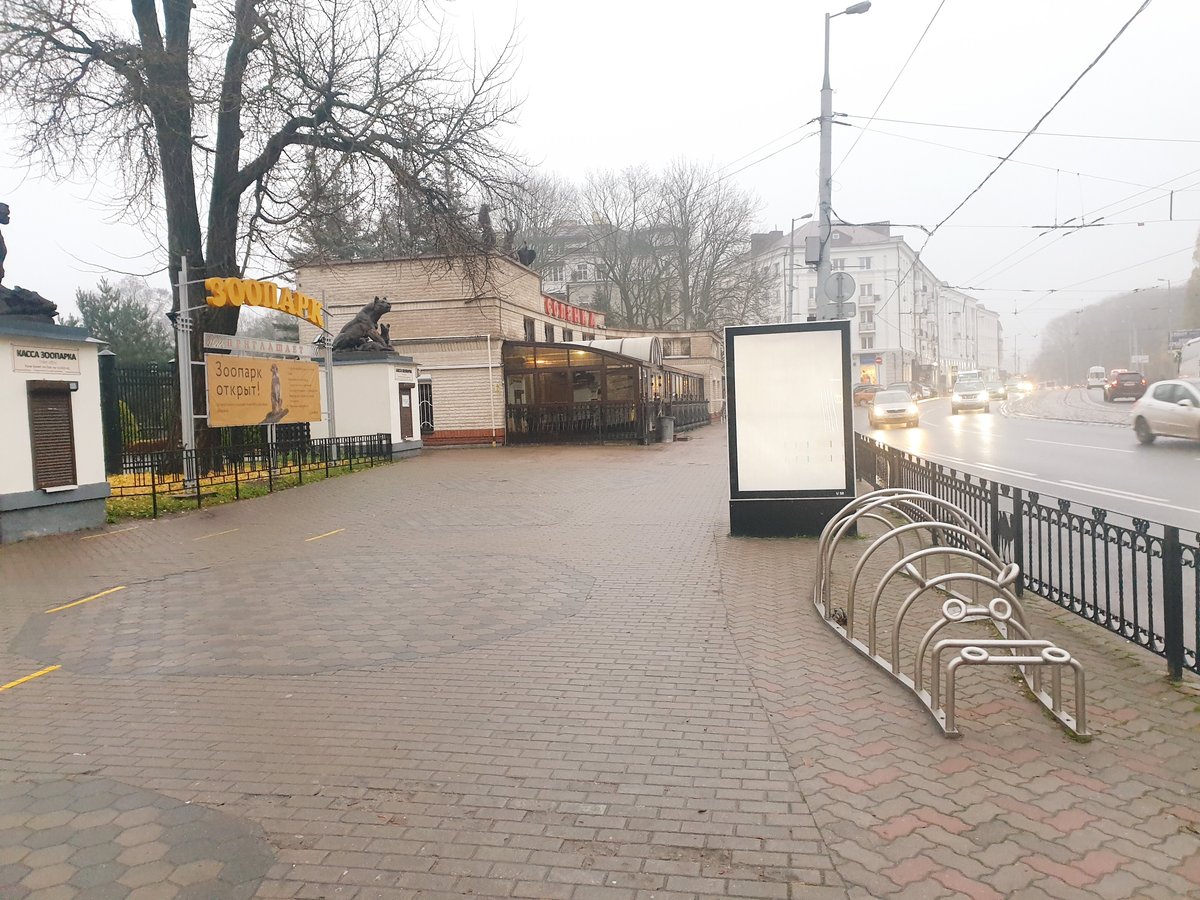 Фотография рекламного носителя, тип: Ситиформат 1.8x1.2, адрес: Мира пр-т., Зоопарк, Калининград, Калининградская область, Россия. Сторона B1-B5 №974176