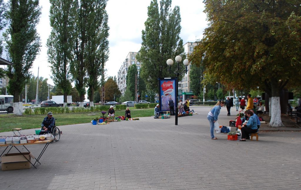 Фотография рекламного носителя, тип: Пиллар 3x1.4, адрес: Щорса ул. Х Губкина ул., Белгород, Белгородская область, Россия. Сторона C №344172