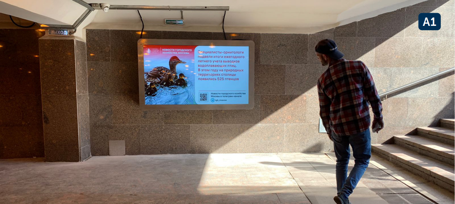 Фотография рекламного носителя, тип: Видеоэкран, адрес: Станция метро «Варшавская», линия Каховская, Москва, Россия. Сторона/вариант А1 №1096793
