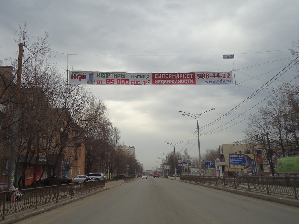 Фотография рекламного носителя, тип: Перетяжка, адрес: Центральная ул., Щелково, Московская область, Россия. Сторона A №5663