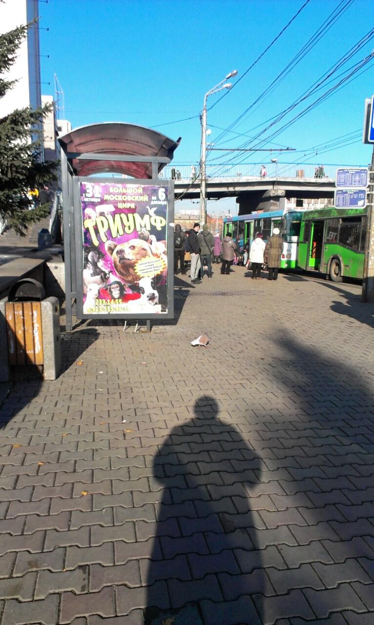 Фотография рекламного носителя, тип: Остановка 1.8x1.2, адрес: Вейнбаума ул., ост. «Театр Оперы и Балета», поз.1, Красноярск, Красноярский край, Россия. Сторона Б №593645