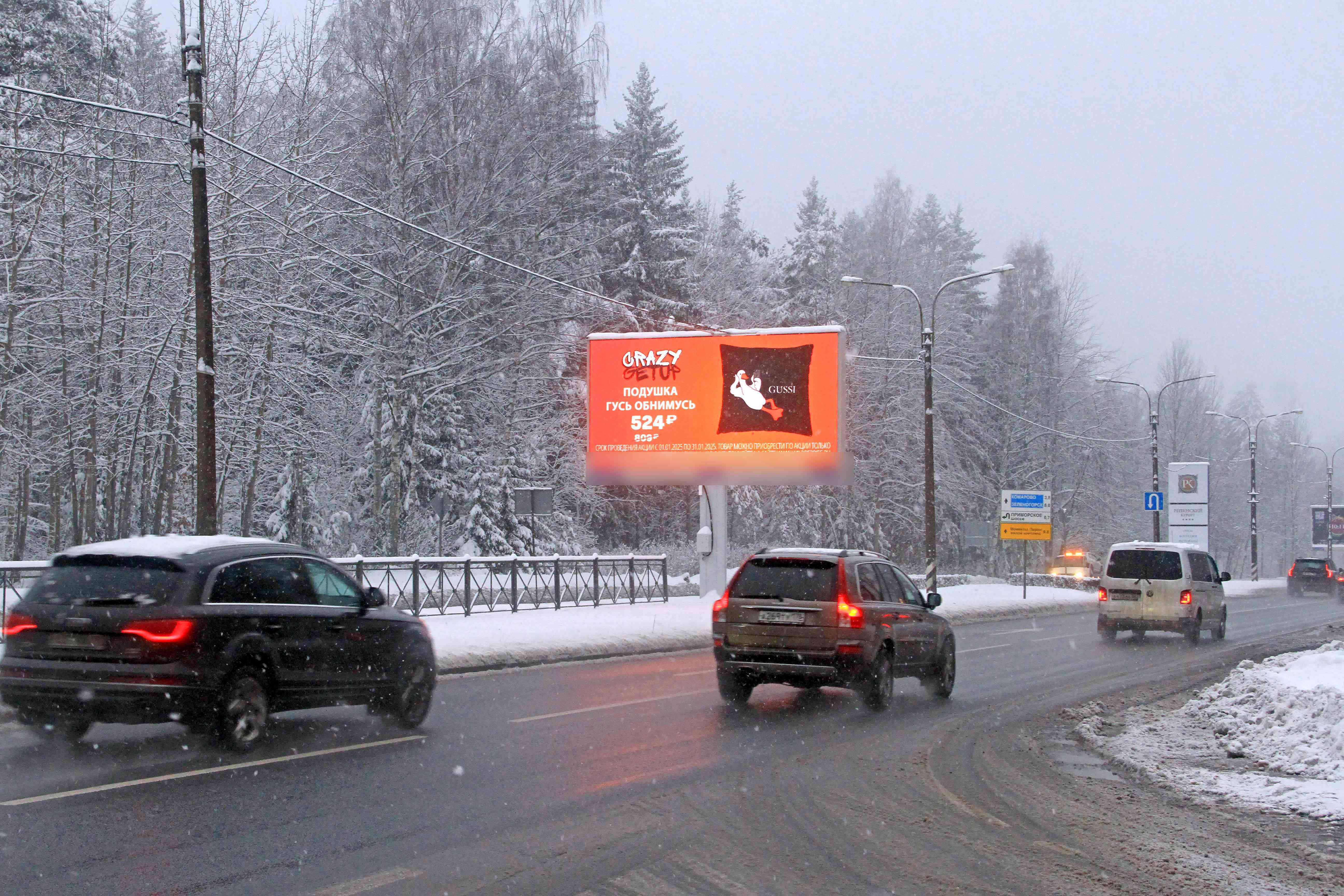Фотография рекламного носителя, тип: Билборд 3x6, адрес: Репино пос., Зеленогорское ш., д.7, Санкт-Петербург, Россия. Сторона А2 №119060