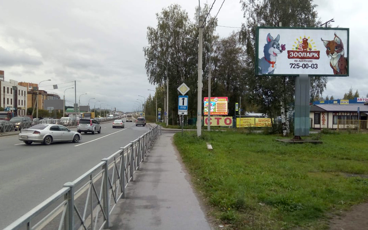 Фотография рекламного носителя, тип: Билборд 3x6, адрес: Дорога жизни ш. Х Александровская ул., Всеволожск, Ленинградская область, Россия. Сторона A №212054