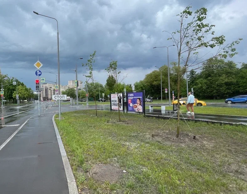 Фотография рекламного носителя, тип: Афиша 1.75x1.8, адрес: Новаторов ул., д.24 X Воронцовские пруды ул., стенд 2, Москва, Россия. Сторона A №887113