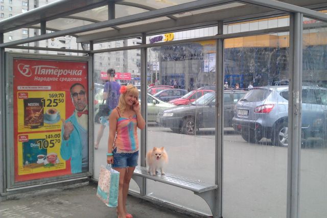 Фотография рекламного носителя, тип: Остановка 1.8x1.2, адрес: Просвещения пр-т., д.19, ост. Станция метро Проспект Просвещения, поз.3, Санкт-Петербург, Россия. Сторона А №129830