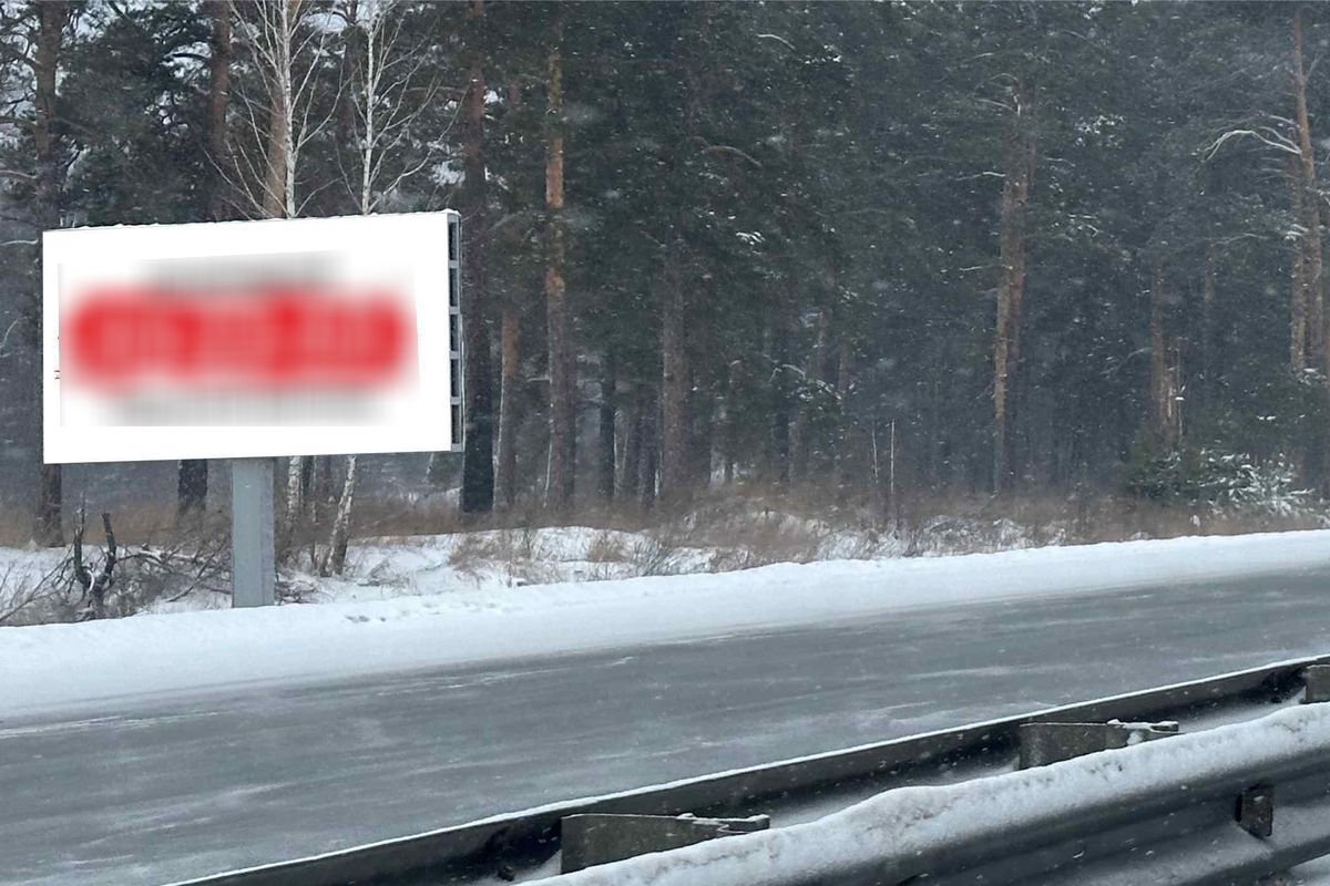 Фотография рекламного носителя, тип: Билборд 3x6, адрес: Чуйский тракт а/д, 200 150м, Барнаул, Алтайский край, Россия. Сторона Б №1336785