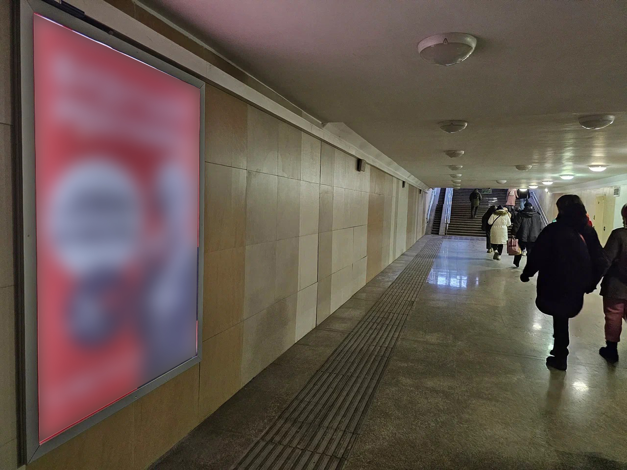 Фотография рекламного носителя, тип: Лайтбокс, адрес: Станция метро «Стрелка», Нижний Новгород, Нижегородская область, Россия. Сторона/вариант №1419306