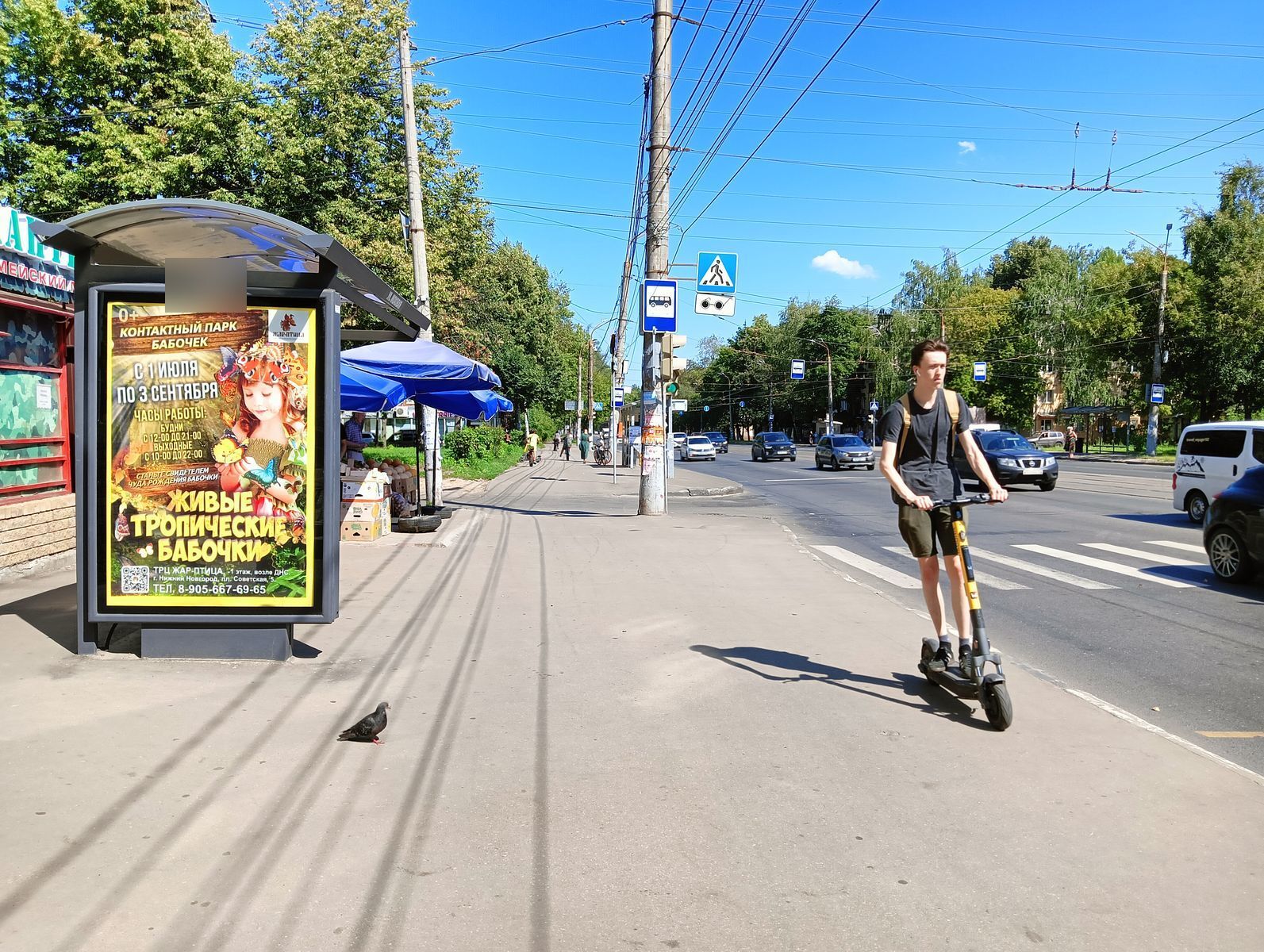 Фотография рекламного носителя, тип: Остановка 1.8x1.2, адрес: Бекетова ул., ост. Моховая ул., поз.1, Нижний Новгород, Нижегородская область, Россия. Сторона Б №328896