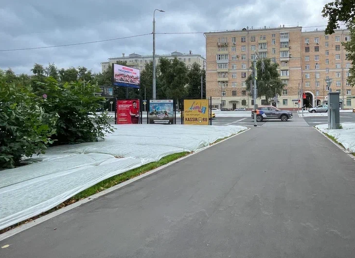 Фотография рекламного носителя, тип: Афиша 1.75x1.8, адрес: Академика Королева ул., ост. "1-я Останкинская улица", стенд 3, Москва, Россия. Сторона B №886483