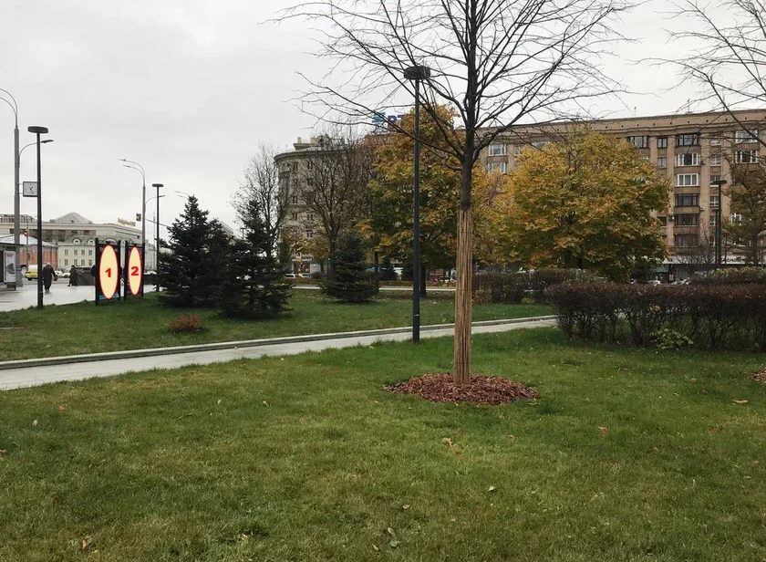 Фотография рекламного носителя, тип: Афиша 1.75x1.8, адрес: Смоленская ул., д.6, стенд 2, Москва, Россия. Сторона B №961365