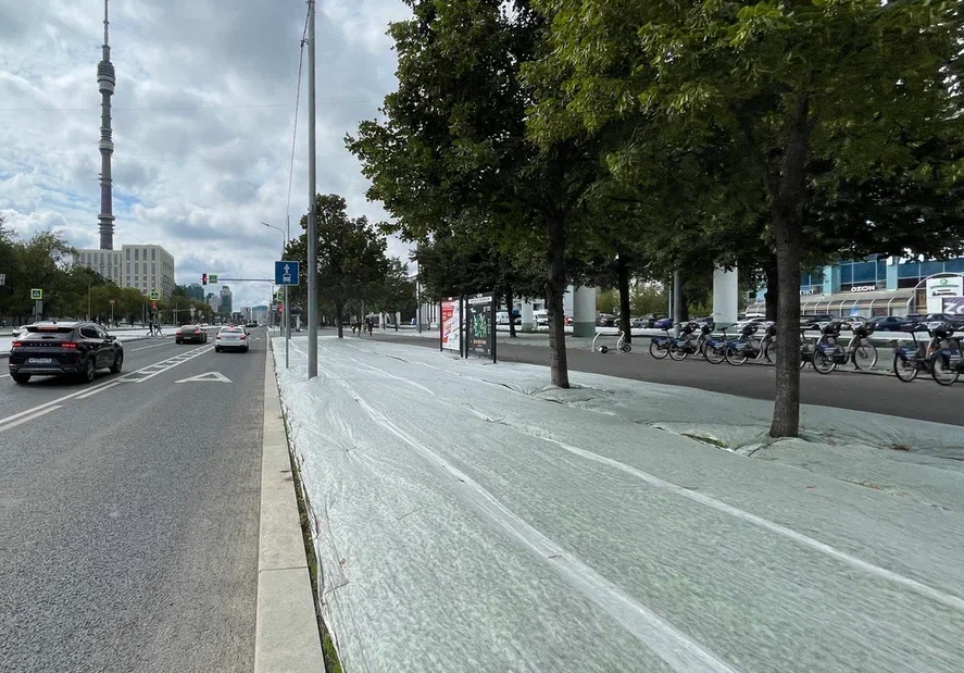 Фотография рекламного носителя, тип: Афиша 1.75x1.8, адрес: Академика Королева ул., ост. "Аргуновская улица", стенд 2, Москва, Россия. Сторона A №886484