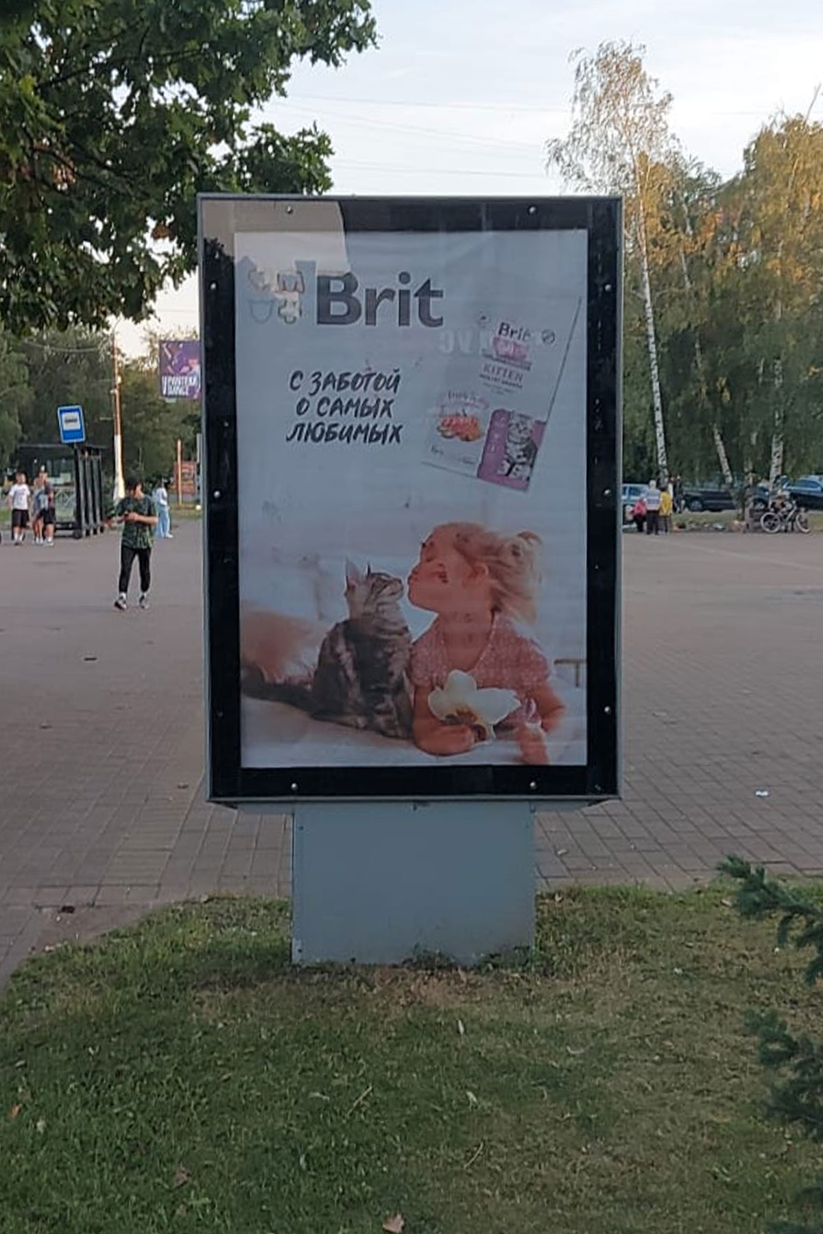 Фотография рекламного носителя, тип: Ситиформат 1.8x1.2, адрес: Гурьева ул. Х Молодежи пл., Раменское, Московская область, Россия. Сторона A №718127