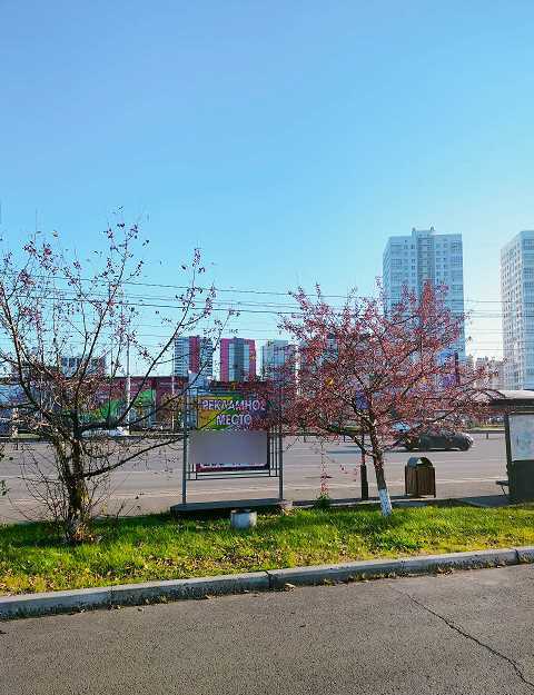 Фотография рекламного носителя, тип: Афиша 1.75x1.8, адрес: 9 мая ул., д.74, Красноярск, Красноярский край, Россия. Сторона B №1365718