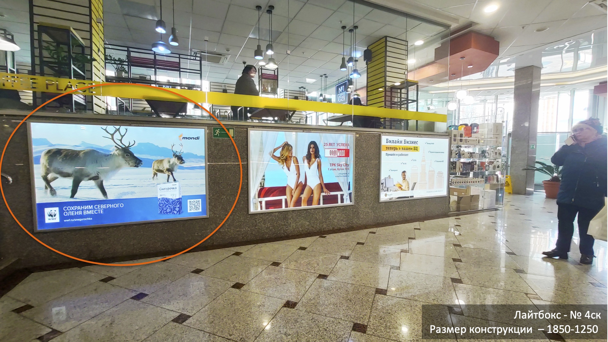 Фотография рекламного носителя, тип: Лайтбокс, адрес: Бизнес-центр «Скай Сити», Алеутская ул., д.45, Владивосток, Приморский край, Россия. Сторона/вариант A №1381729