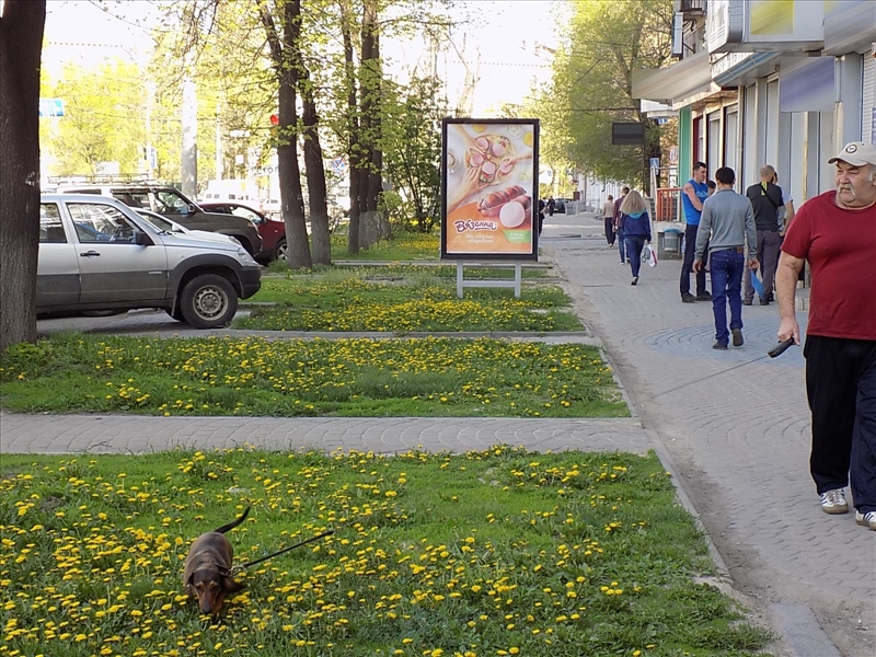 Фотография рекламного носителя, тип: Ситиформат 1.8x1.2, адрес: 20 Лет Октября ул., д.92, Воронеж, Воронежская область, Россия. Сторона А №233718