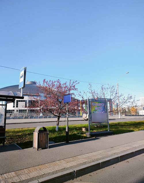 Фотография рекламного носителя, тип: Афиша 1.75x1.8, адрес: 9 мая ул., д.74, Красноярск, Красноярский край, Россия. Сторона A №1365717