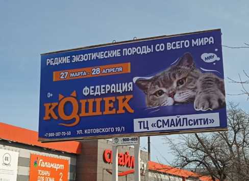 Фотография рекламного носителя, тип: Билборд 3x6, адрес: Учебная ул., д.48, Томск, Томская область, Россия. Сторона Б №1008037