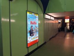 Фотография рекламного носителя, тип: Постер/баннер, адрес: Станция метро «Комендантский проспект», линия Фрунзенско-Приморская, Санкт-Петербург, Россия. Сторона/вариант А №1061591